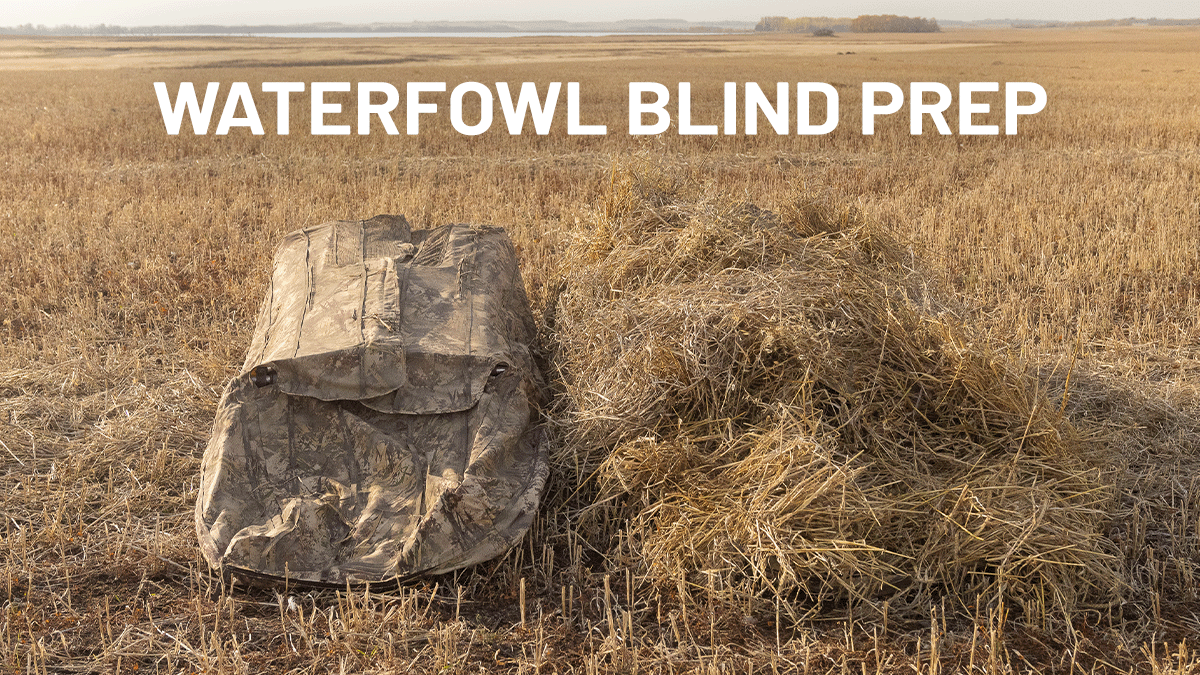 Waterfowl Blind Prep: The Unsung Work That Wins Before First Light ...