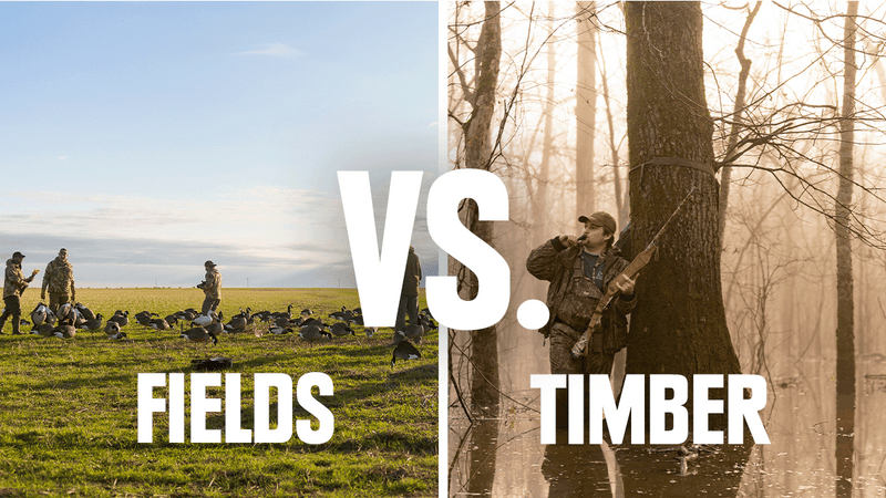 Duck Hunting in Fields vs. Flooded Timber: Key Differences Every Hunter Should Know