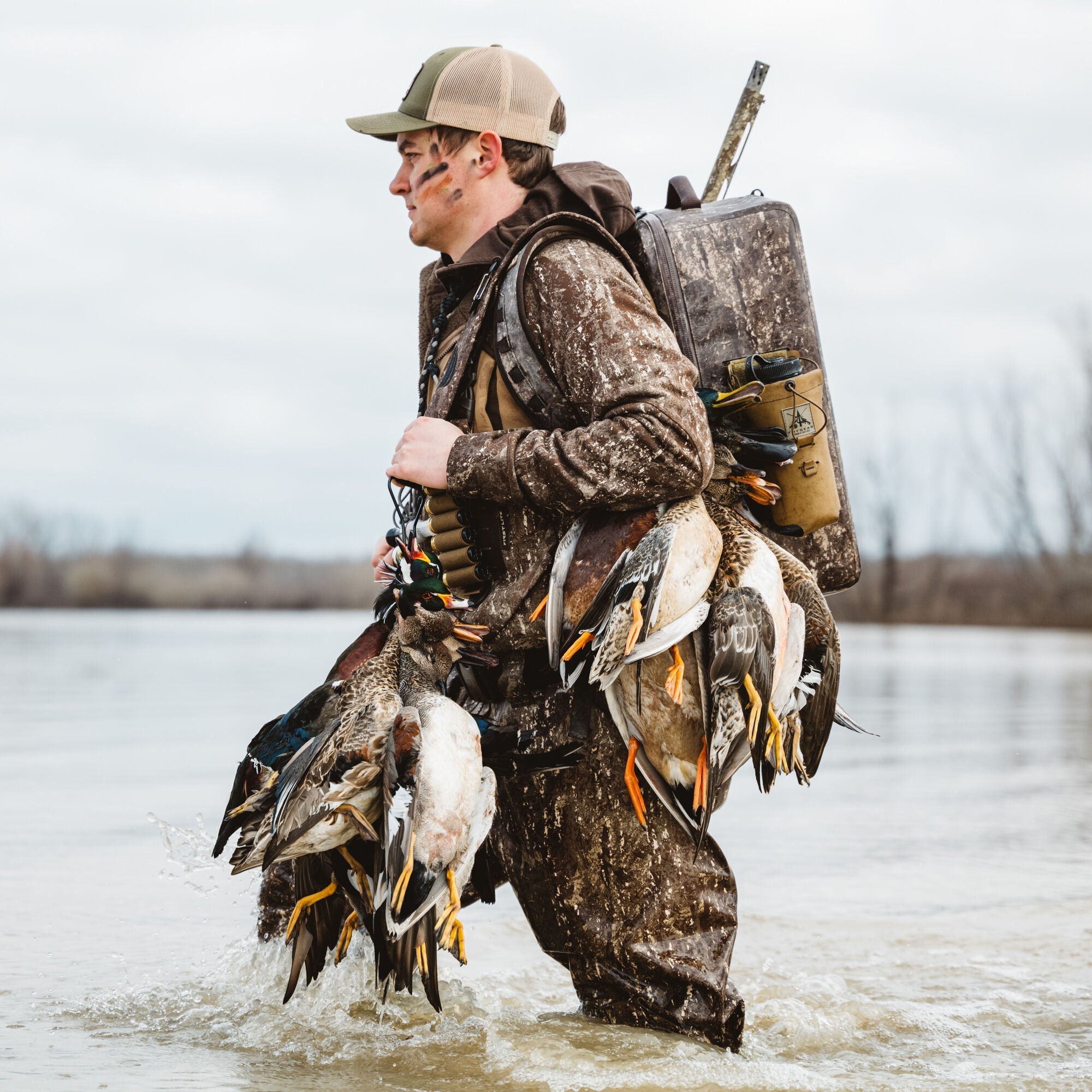 Early Season Flooded Timber